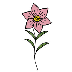 Pink flower on a white background. Vector hand drawn illustration.