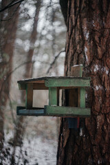 Wooden feeder in the winter forest. Bird house.