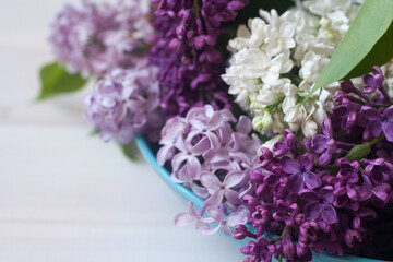 Piękne fioletowe i białe kwiaty bzu na białym tle © mirame111