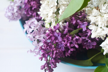 Piękne fioletowe i białe kwiaty bzu na białym tle © mirame111