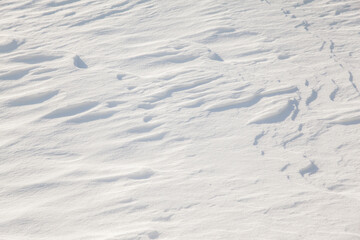 winter background with snow texture closeup