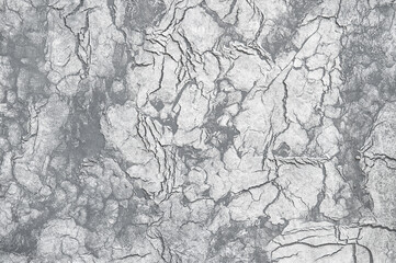 Fototapeta premium Concrete cracked stone background Cement texture