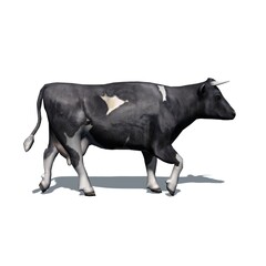 Farm animals - cow black-white with shadow on the floor - isolated on white background - 3D illustration