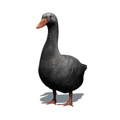 Farm animals - gray goose with shadow on the floor - isolated on white background - 3D illustration