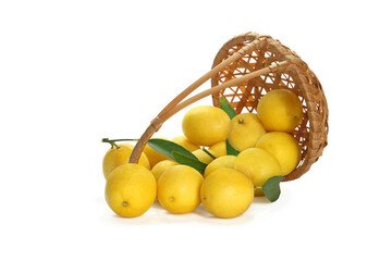 Lemons scattered from wicker basket isolated on white
