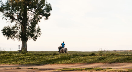 man on horseback in nature