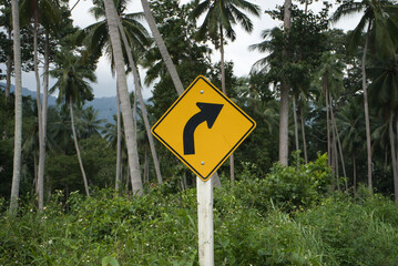 right curve traffic signs among coconut trees
