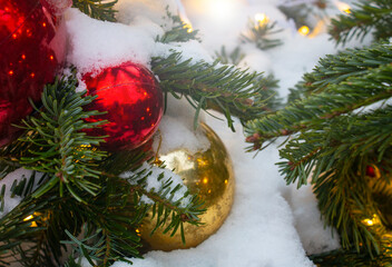 yellow and red christmas balls on green branches of a christmas tree with snow on christmas eve