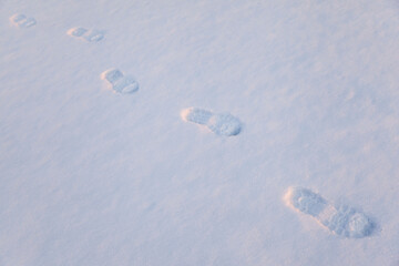 human footprints in the fresh snow