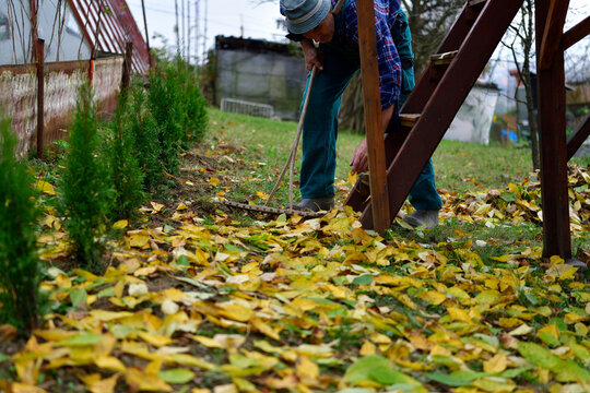 A farmer in the village rakes up fallen autumn leaves