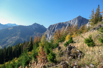 Obraz premium A woman with big backpack hiking through the colorful forest in Hochschwab region in Austrian Alps. The trees are turning golden. Endless mountain chains. Idyllic landscape. Freedom and wilderness