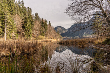 andscape in autumnal atmosphere Alpsee with Neuschwanstein Castle in the background, eastern Allgaeu near City of Fuessen