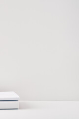 Two two books on a white background. Copy space, mock up.