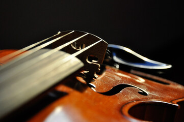violin musical instrument strings classic