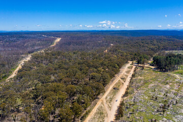 Fototapeta na wymiar Aerial view of a dirt road in a forest affected by bushfire in regional Australia