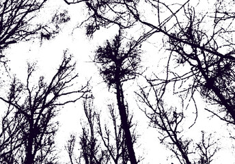 Tree tops in the sky with dotwork style. Creepy naked tree branches in winter with dotted texture.