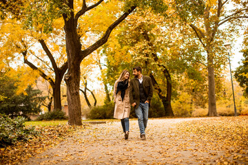 Fototapeta premium Young couple walking in the autumn park