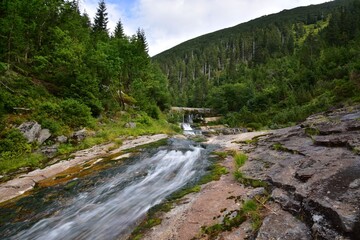 The Weisswasser, White Labe or Bile Labe in Czech is a major affluent of the Labe River in Krkonose, Giant Mountains, Czech Republic.