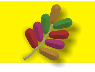 Abstract colorful leaf midrib isolated on yellow background