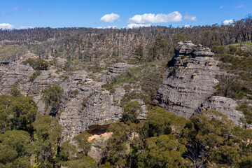 Aerial view of forest regeneration in a valley in regional Australia