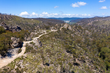 Fototapeta na wymiar Aerial view of forest regeneration in a valley in regional Australia