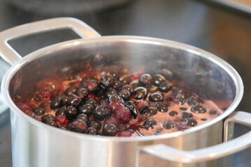 Schlehenmarmelade kochen 
