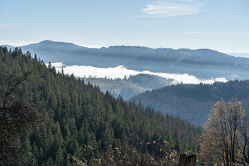 Nature landscape in mountain with fog and day light