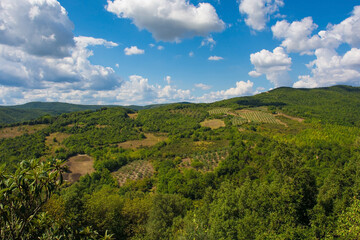 Fototapeta na wymiar The green landscape around the historic village of Murlo, Siena Province, Tuscany, Italy 