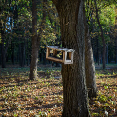 Autumn landscape - bird feeder in the form of a house.