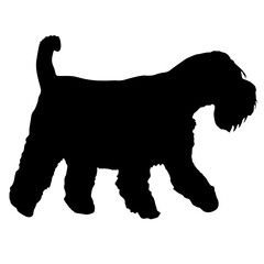 Airedale dog black silhouette on white background