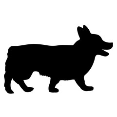 Welsh Corgi dog silhouette on a white background
