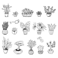 Set of hand drawn house plants in pots. Big set cute of hand drawn house plants in pots including cactus, dracena, aloe and others, and garden tools. Vector collection of doodle plants.