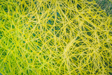 Abstract background of yellow threads on blue background