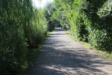 alley in the park