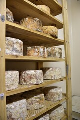 Side view of the cheese maturing chamber in different phases.