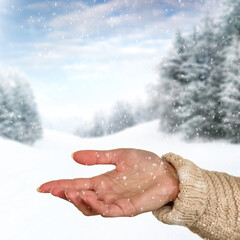 Woman hand and winter 