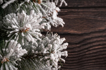 Winter background whit christmas tree branchs