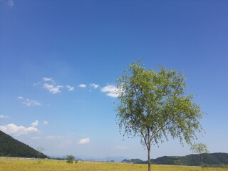 한국의 휴일 -  수변공원 풍경