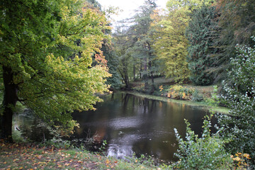 Herbst an einem See in Blankenburg