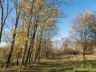 Naklejka premium Wanderroute Napoleonsweg in Stolberg Rhld.