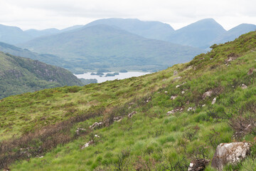Panoramic view of the Irish countryside with trees, green vegetation, hills and mountains and hills, cloudy day in Ireland