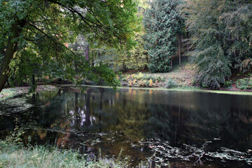 Herbst an einem See in Blankenburg