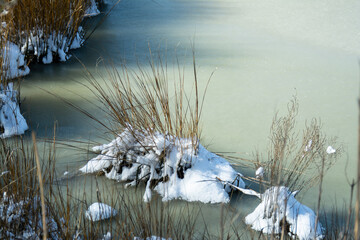 frozen green marsh water close up with snow covered marsh grasses