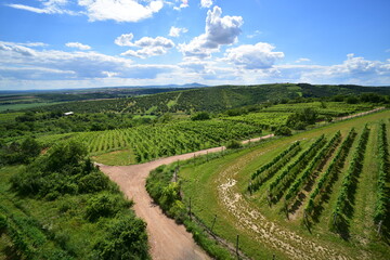 Fototapeta na wymiar South Moravia Blue Mountains view tower