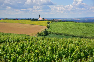 Fototapeta na wymiar South Moravia Blue Mountains Vrbice wine cellars