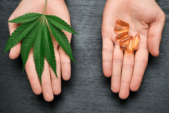 Top view on the mans hand holding a leaf of cannabis and capsules with hemp oil