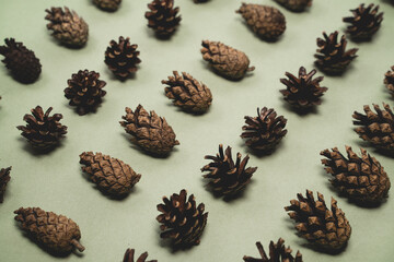 Christmas gentle green background with fir and pine cones