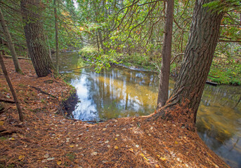 Pine River, south branch, Huron National Forest, Alcona County, Michigan