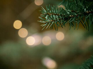Green Christmas tree branch and yellow lights garlands blurred in bokeh