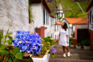 Holiday in Madeira. Middle aged woman with long hair wearing a white dress watches blue hortensia...